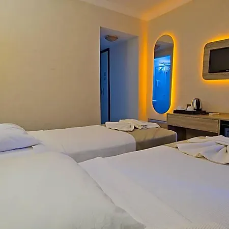 موني 3*